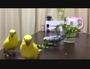 狂乱の後