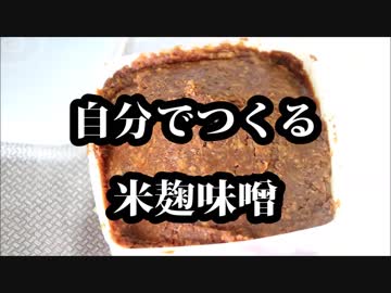 【自分でつくる調味料】米麹味噌を作ろう！【保存食】
