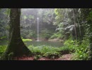 正勇作　View Of The Woods With Waterfalls On A Rainy Day