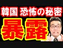 【韓国 速報】首脳会談決裂で恐怖の秘密が暴露！韓国政府と大統領はパニック状態！終わったな…海外の反応『KAZUMA Channel』