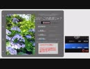 【RTA】【実況】こ～こはど～この箱庭じゃ？　5分26秒64