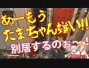 金剛いろは「たまちゃん嫌い!!!」夜桜たま「別居するのぉ～」【きんとたま】