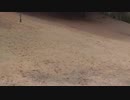 20190307あいがわゴルフコース(MG-高麗芝)part2　