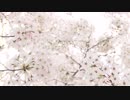 【ニコラップ】マックばっか食ってた - NeZ
