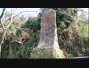 ある日の桜島（その１２７）＜城山の裏手から展望所を目指しつつ時々桜島を眺める（その１）＞