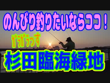 釣り動画ロマンを求めて 234釣目（杉田臨海緑地）