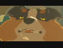 依頼を受けて、ハイリア犬がどこまでついて来るか試してみた