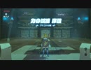 【ゼル伝BotW】100年の眠りから目覚めた勇者の冒険４７【もちまる】