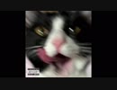 【ニコラップ】CHILLCAT THE BASTET - Incertus Remix