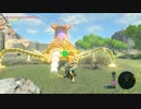 【実況】十五の掟で挑むブレスオブザワイルド～part.46～