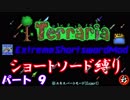 [Terraria+MOD]　ショートソード縛りEX パート９　[ゆっくり実況]