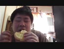 オカザキゾウアザラシの生態調査その２