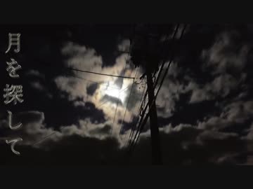 月を探して　歌ってみた☽【あむぴこ】