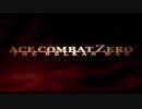【嘘字幕】『AntemバグZERO』ACE COMBAT ZERO MAD