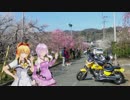 小僧が冬眠から目覚めるようです【VoiceRoid車載】