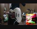 【弾いてみた】イエスマンのブルース / BYEE the ROUND