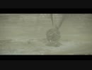 [PS4] ワンダと巨像 NTA 第11の巨像 Celosia 0:19.89