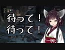 【Bloodborne】宇宙は空に、きりたんは東北に◆7