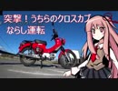 突撃うちらのクロスカブ！やったるで！ならし運転！