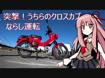 突撃うちらのクロスカブ！やったるで！ならし運転！