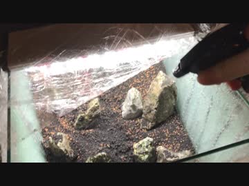 【アクアリウム】0からミスト式で30cm水草水槽を立ち上げる。#2