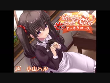 【体験版】ひなちゃんのすっきりコースーヒーリングサロンシエルー