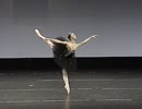 黒鳥のヴァリエーション