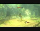 【実況】完全初見のゼルダの伝説ブレスオブザワイルドpart47