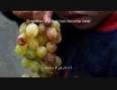 'Hur-Al-Ayn Tunadini'-Translated short Nasheed