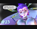 【初見実況】デュアルハーツ！～ひとの数だけ夢がある～　ハート２３