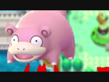 ヤドモエシティ