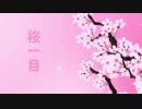 【初音ミク】桜一目【観月真千絵@sozaiCLUB】