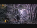 【実況】最初で最後のDARKSOULSⅢ実況Part24【結晶の古老2】