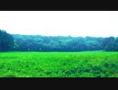 【 RADWIMPS 前前前世(movie ver.) 】 女だけど歌ってみた 【 ELAFAR 】