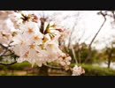 【燐花】 ３月９日 【歌ってみた】