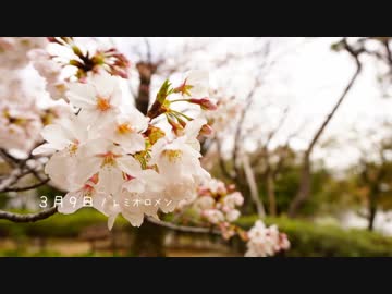 【燐花】 ３月９日 【歌ってみた】