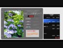 【RTA】こ～こはど～この箱庭じゃ？　4分42秒95(更新)【実況】
