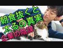 企業の陰謀！朝食を抜くと太る説