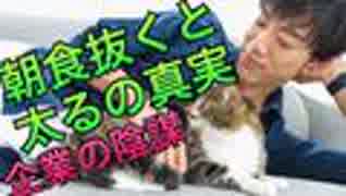 企業の陰謀！朝食を抜くと太る説