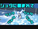 【#コンパス】ついに夢が叶った【実況】