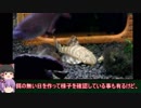 【水底計画】part3「機嫌を損ねた者は死にます。」