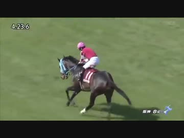 2019年 阪神スプリングジャンプ（J・GⅡ）【オジュウチョウサン】 障害復帰戦