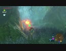 【実況】完全初見のゼルダの伝説ブレスオブザワイルドpart48