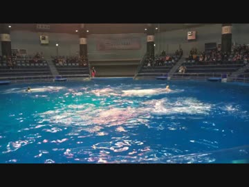 MKと九ちゃんと水族館（裏）