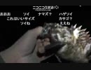 釣り　ブラクリ　ヘチ釣り　落として速攻当たりきた！！　