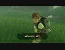 【ゼルダの伝説BotW】完全初見でクリアするpart12