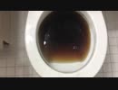 ペプシをトイレに流してみた