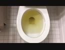 レッドブルをトイレに流してみた