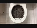オレオのシリアルをトイレに流してみた