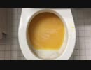 マカロニとチーズをトイレに流してみた２